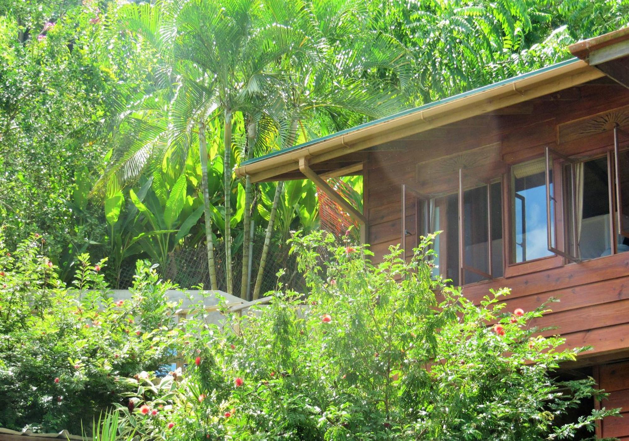 شقة Castara Retreats الغرفة الصورة