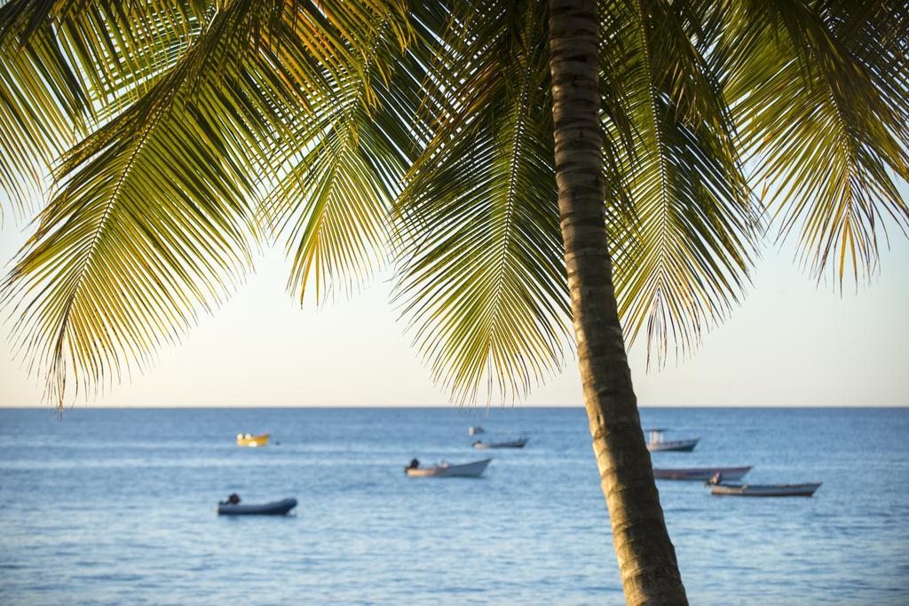شقة Castara Retreats المظهر الخارجي الصورة